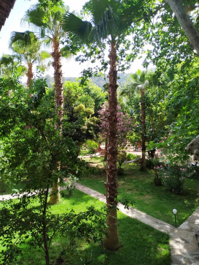 Olympos Yavuz Hotel Çıralı Kültér fotó