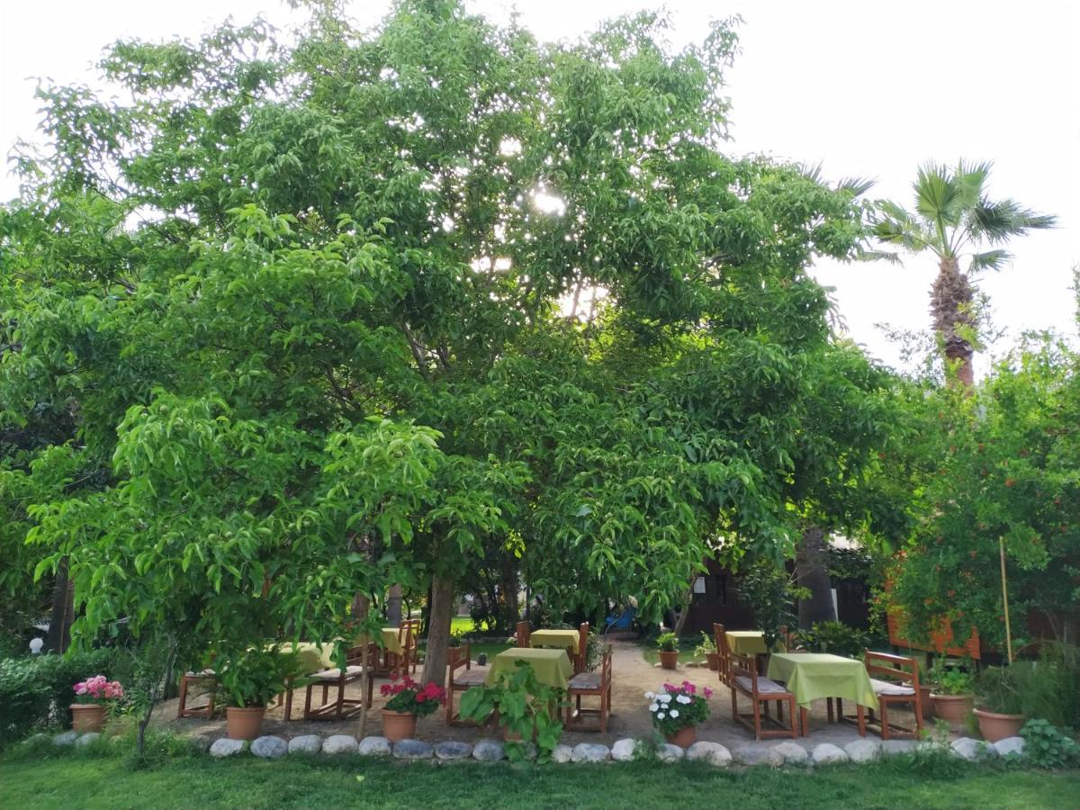 Olympos Yavuz Hotel Çıralı Kültér fotó