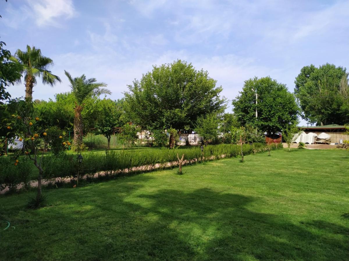 Olympos Yavuz Hotel Çıralı Kültér fotó