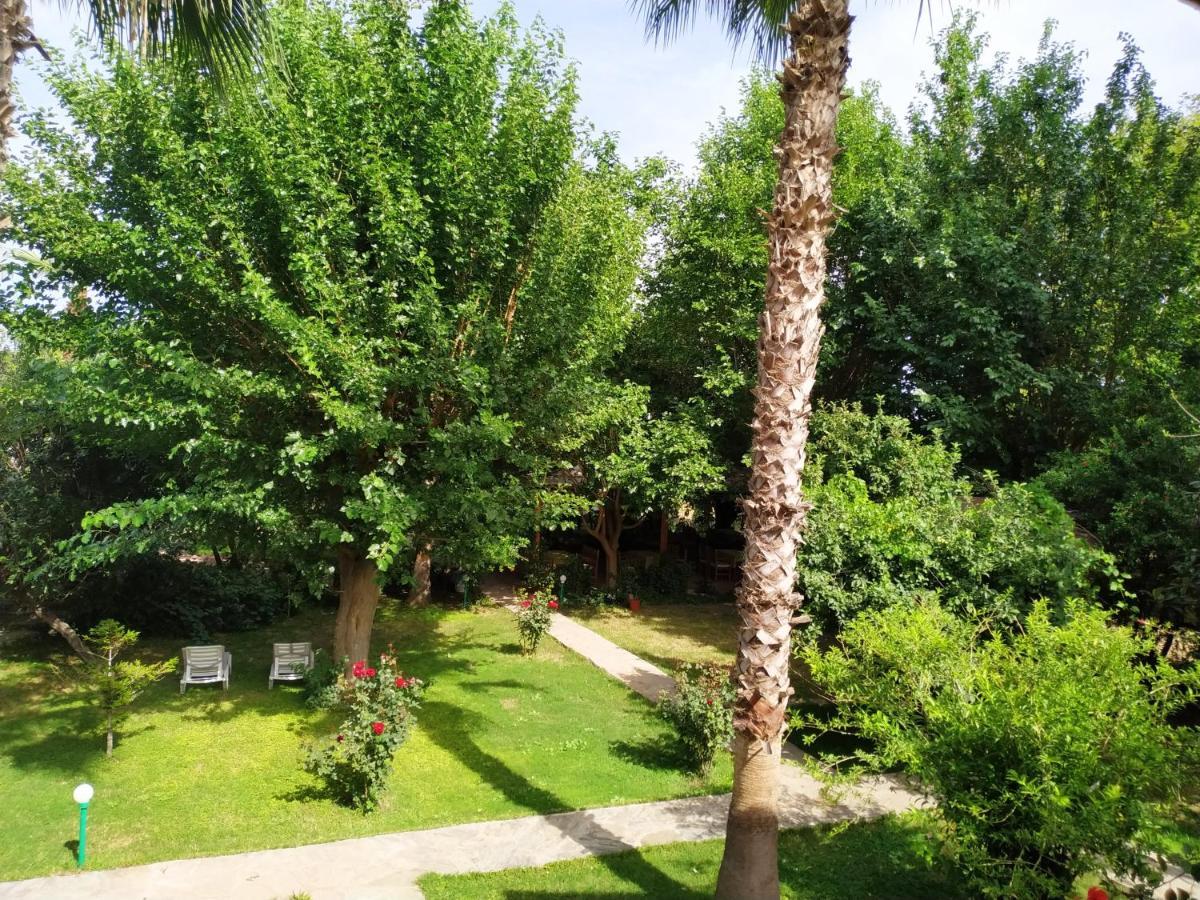 Olympos Yavuz Hotel Çıralı Kültér fotó