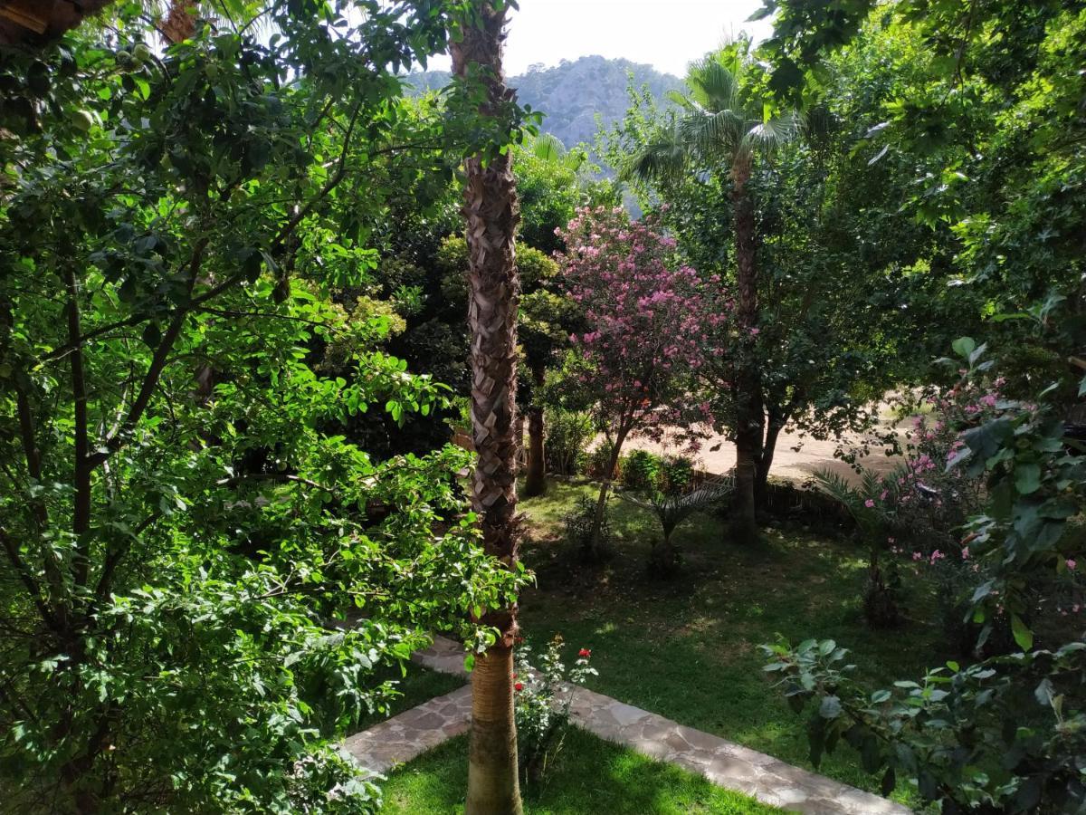 Olympos Yavuz Hotel Çıralı Kültér fotó