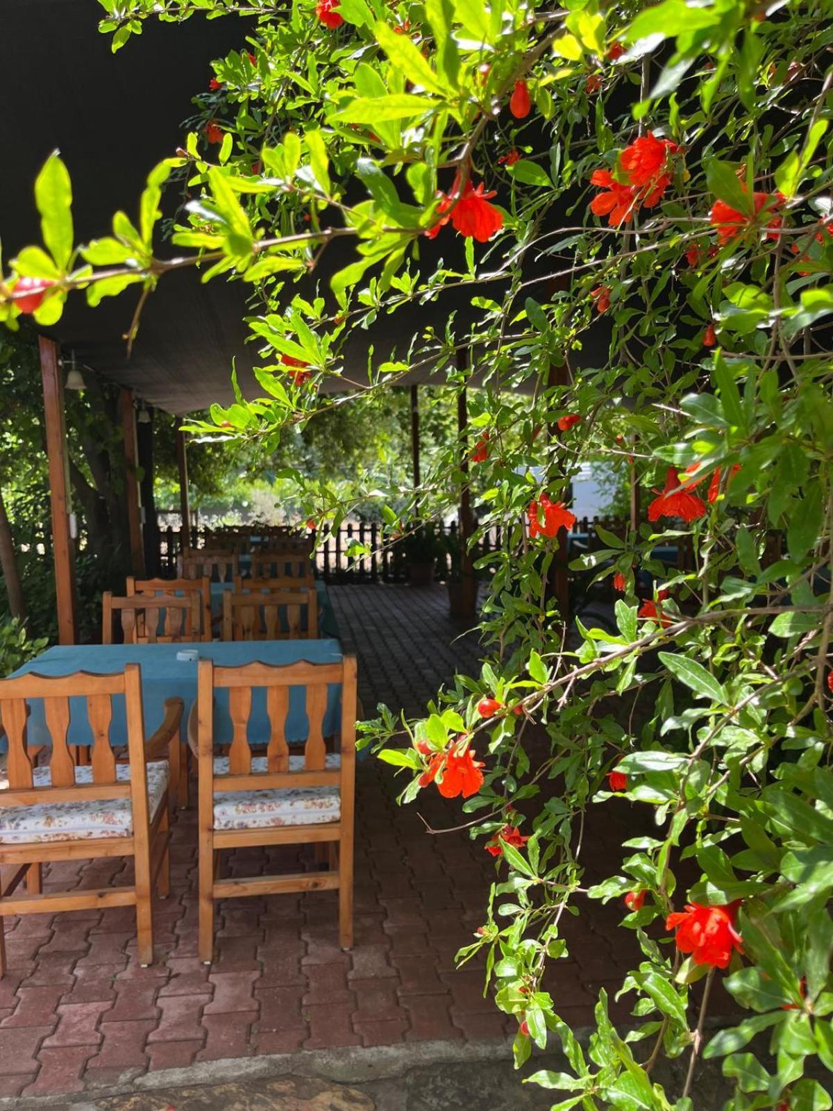 Olympos Yavuz Hotel Çıralı Kültér fotó