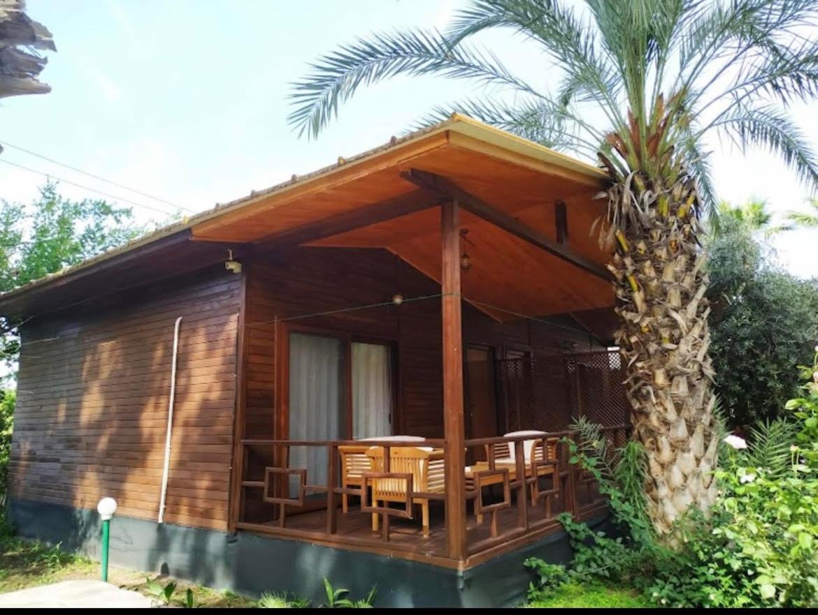 Olympos Yavuz Hotel Çıralı Kültér fotó