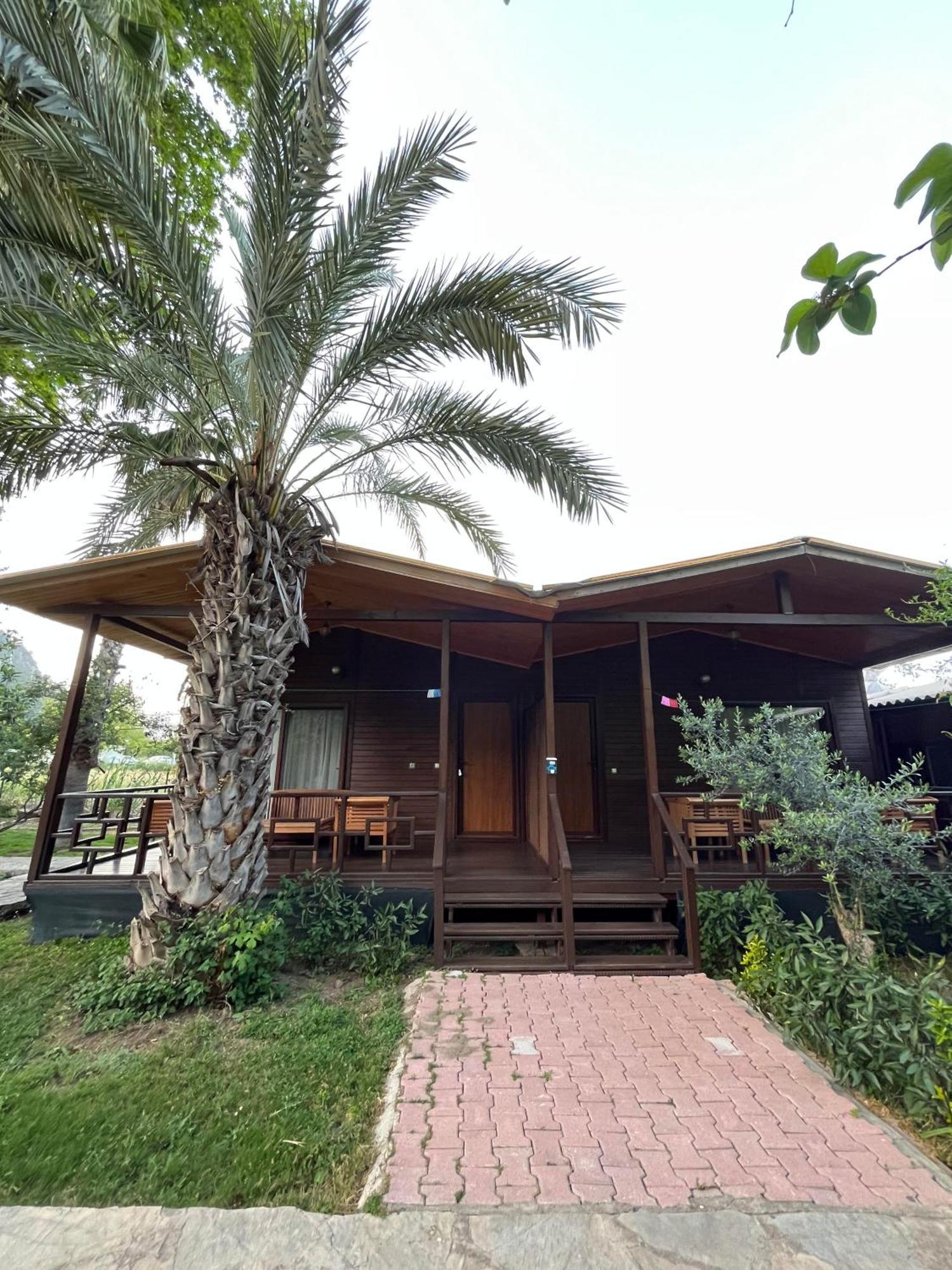 Olympos Yavuz Hotel Çıralı Kültér fotó
